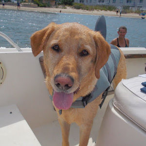 Meet your Posher, Ashely